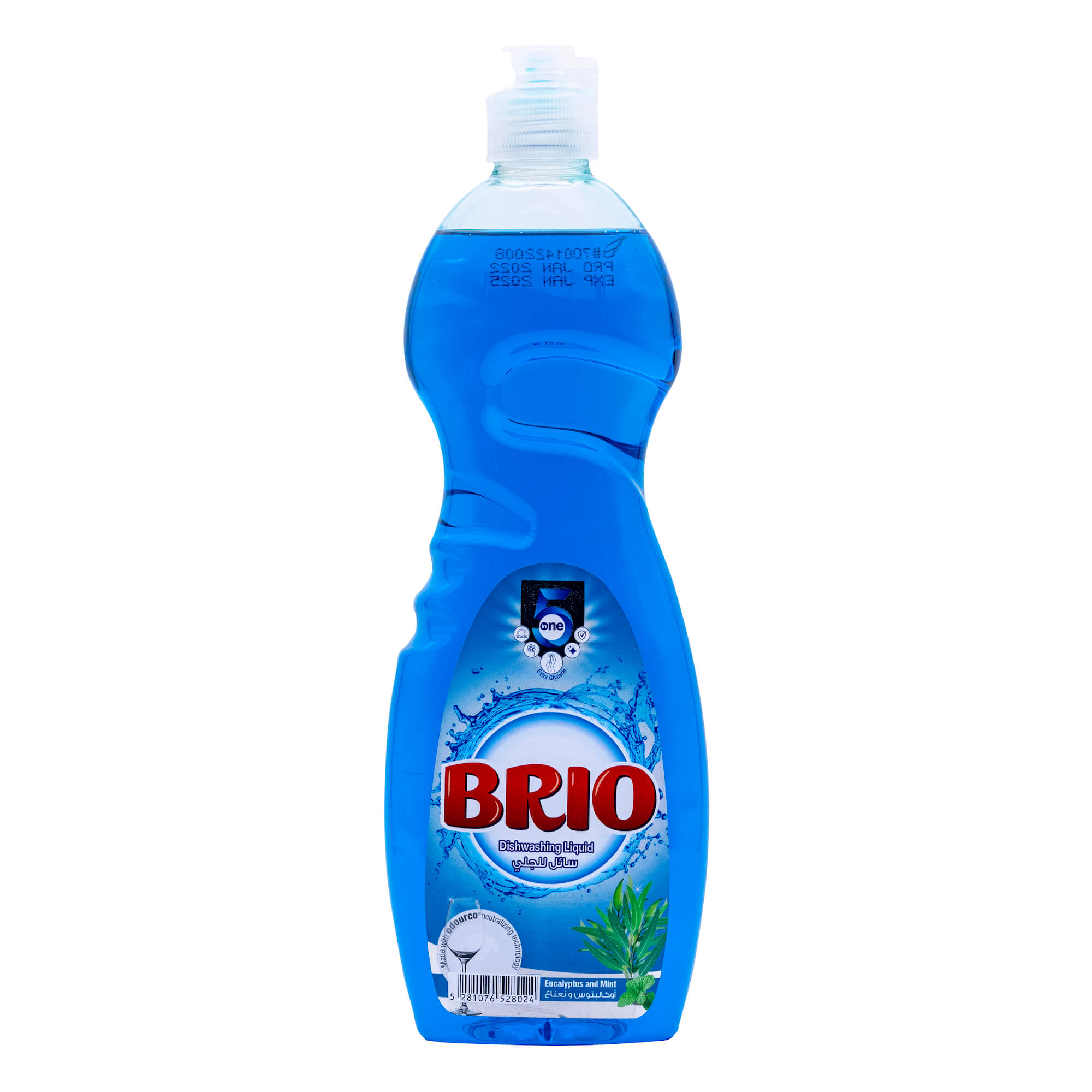 snci-brio-dishwashing-liquid-blue-product